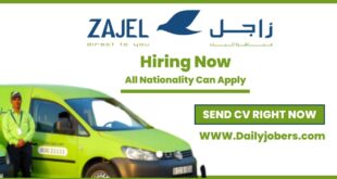 ZAJEL Careers