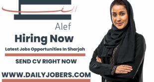 Alef Group Careers