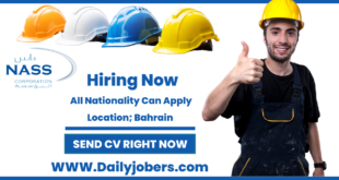 NASS Group Corporation Careers